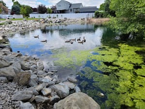 Plum Creek Park photo 3