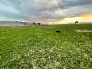 Pony Express Memorial Park photo 3