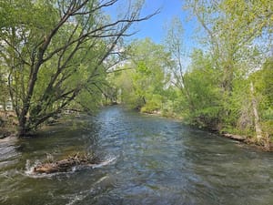 Provo River Park