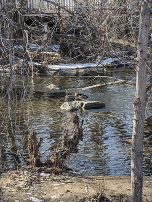 Provo River Park photo 2