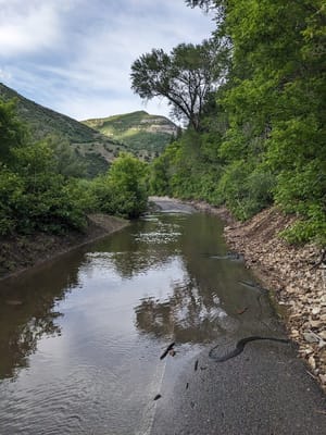 Provo River Walk photo 1