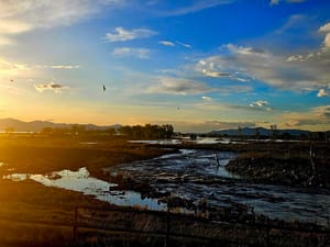 Provo River Walk photo 2