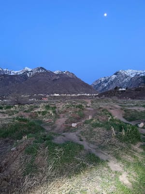 Quail Hollow Park photo 3