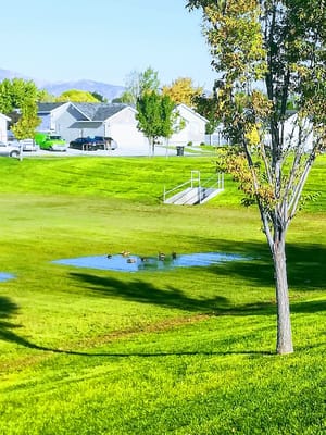 Railroad Park photo 2