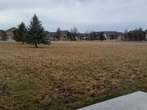 Ranches Park photo 3