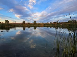 Razor Ridge Park photo 3