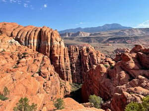 Red Cliffs National Conservation Area photo 2