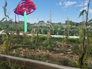 Redwood Park photo 2