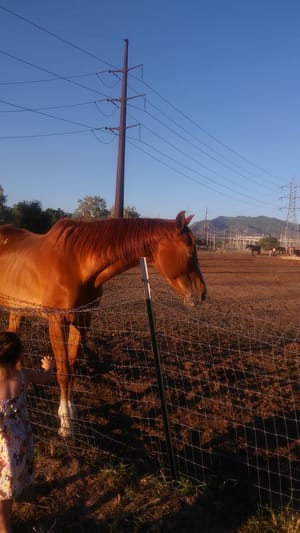 Redwood Park photo 3