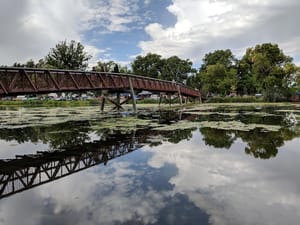 Rees Pioneer Park photo 3