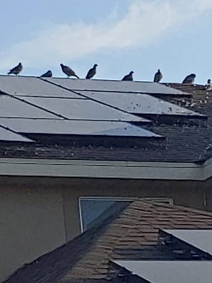 Regatta Park photo 3