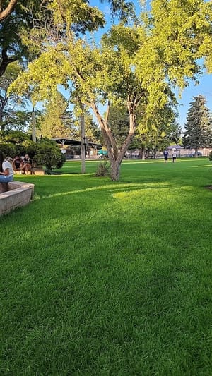 Richfield Lion's Park photo 3