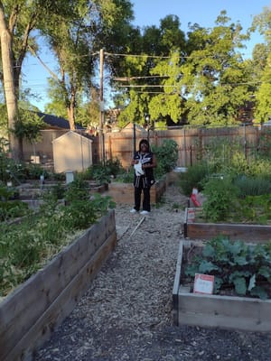 Richmond Park photo 2