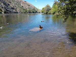 River Hollow Park photo 3