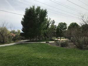 Royal Oaks Park photo 2