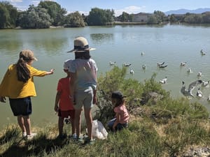 Sagers Memorial Park photo 2