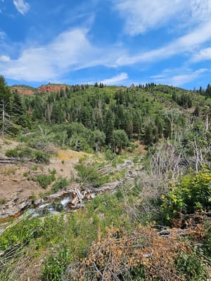 Salt Creek Canyon Trail Falls photo 3
