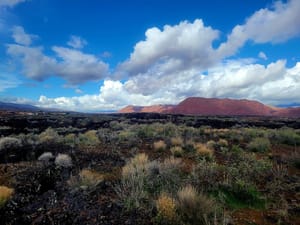 Santa Clara Arboretum
