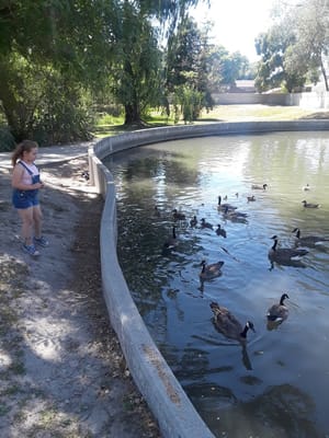 Scott Avenue Park photo 3