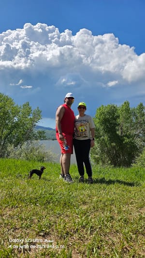 Sego Lily Pavilion photo 3