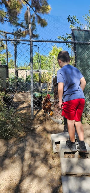 Shalimar Park photo 2