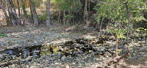 Shalimar Park photo 3