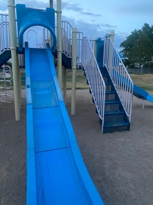 Sheltie Morgan Park photo 2