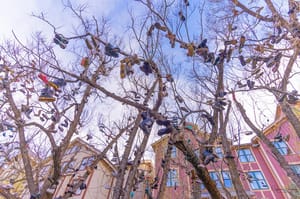 Shoe Tree Park photo 2