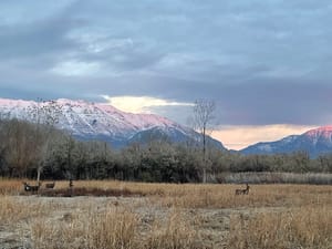 Shoreline Park photo 3