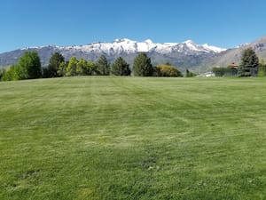 Silver Leaf Park photo 2