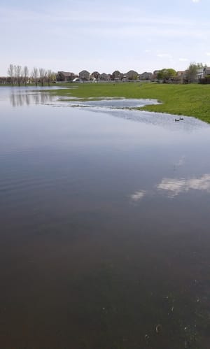 Skyview Basin Park photo 3