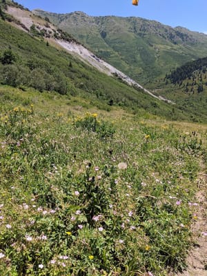 Slate Canyon Park photo 3