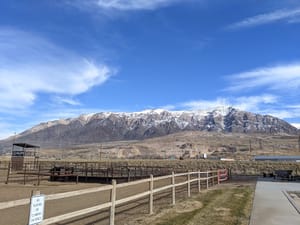 Smith Family Park photo 3