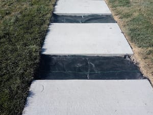 Someone Else's Park photo 2