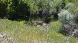 South Ogden Parks Department photo 3