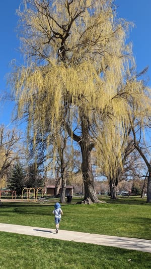 South Pavilion photo 2