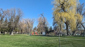 South Pavilion photo 3