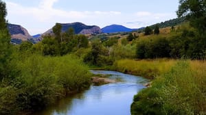 Spanish Fork River Park photo 3