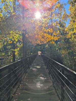 Spanish Fork Sports Park photo 3