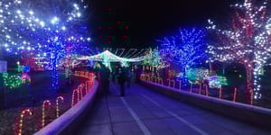 Splash Pad at Pioneer Park photo 2
