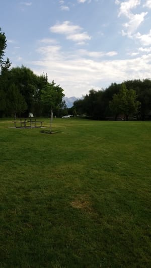 Spring Hollow Park photo 3