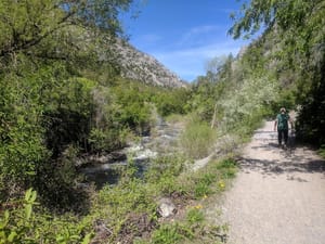 Stokes Nature Center photo 3