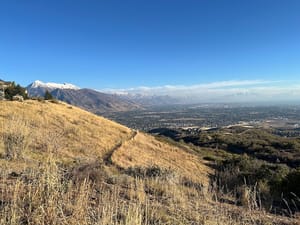 Suncrest Park photo 2