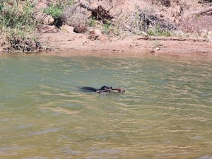 Sunrise Valley Park photo 2