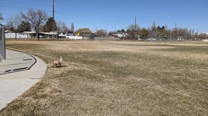 Sunset View Park photo 1