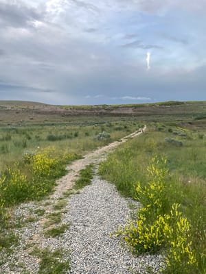 Sycamore Ridge Park photo 3