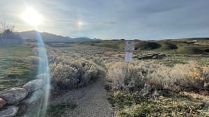 Sycamore Trail Park photo 3