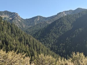 Terrace Picnic Area photo 3