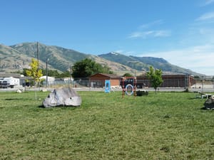 The Barking Lot photo 2