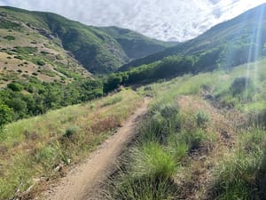 The Farm MTB Park photo 2